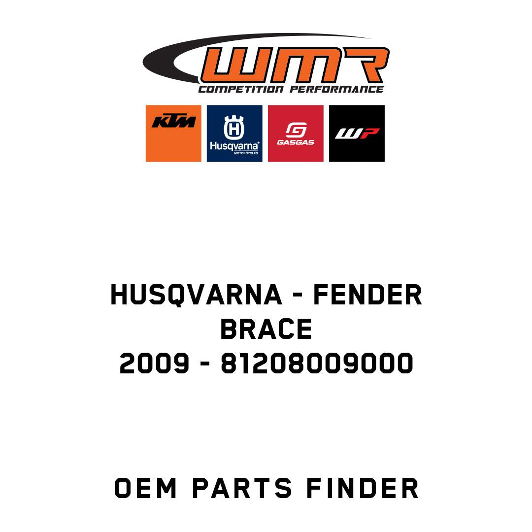FENDER BRACE              2009