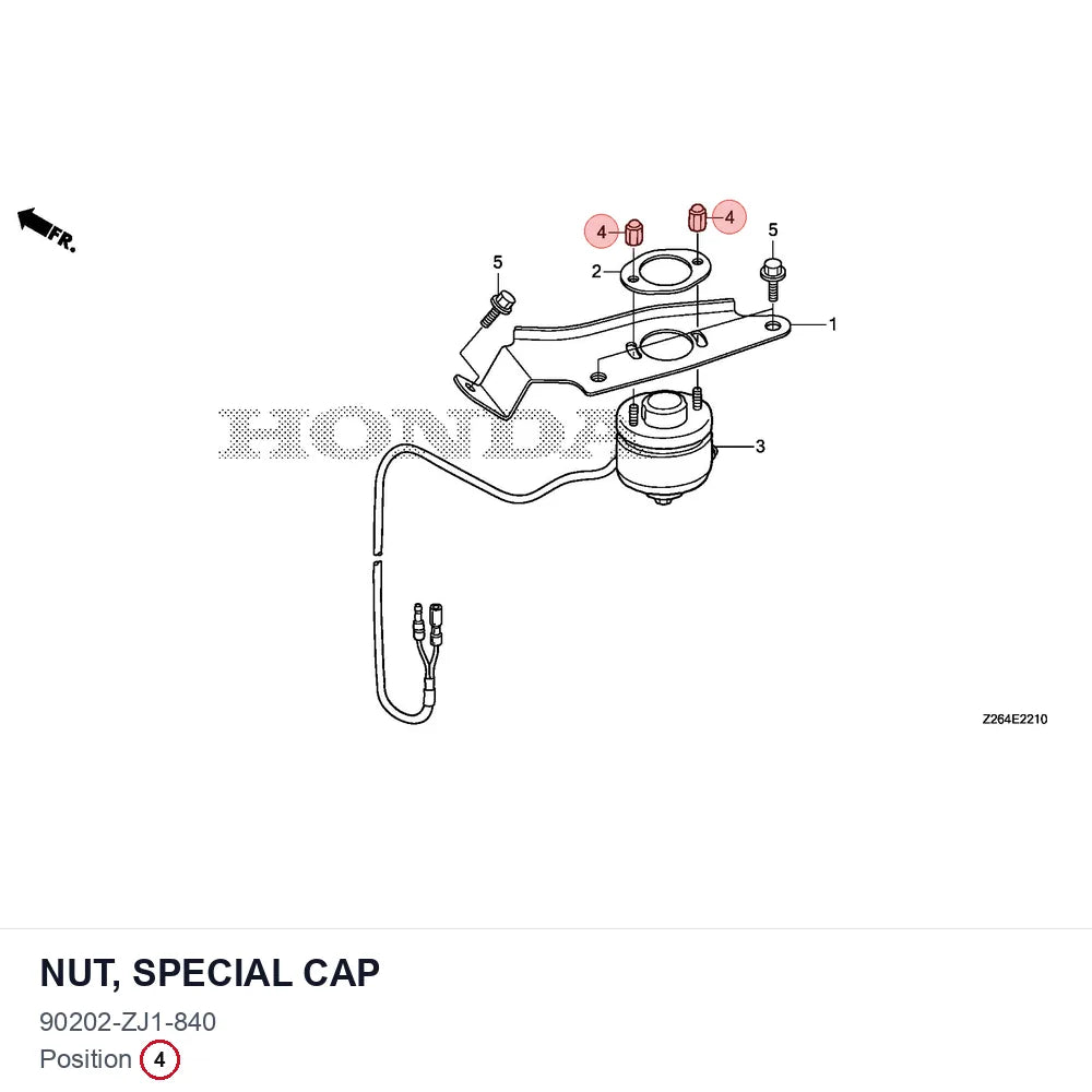 NUT, SPECIAL CAP