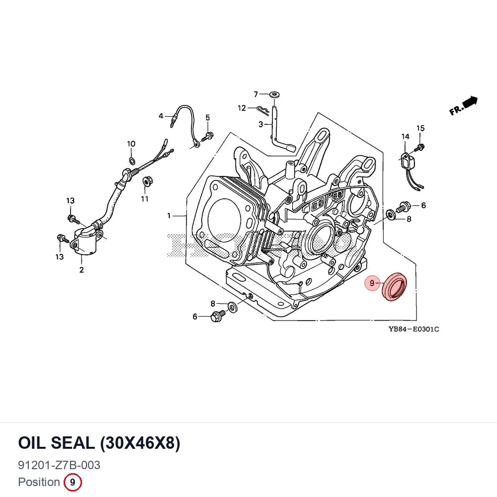 OIL SEAL (30X46X8)
