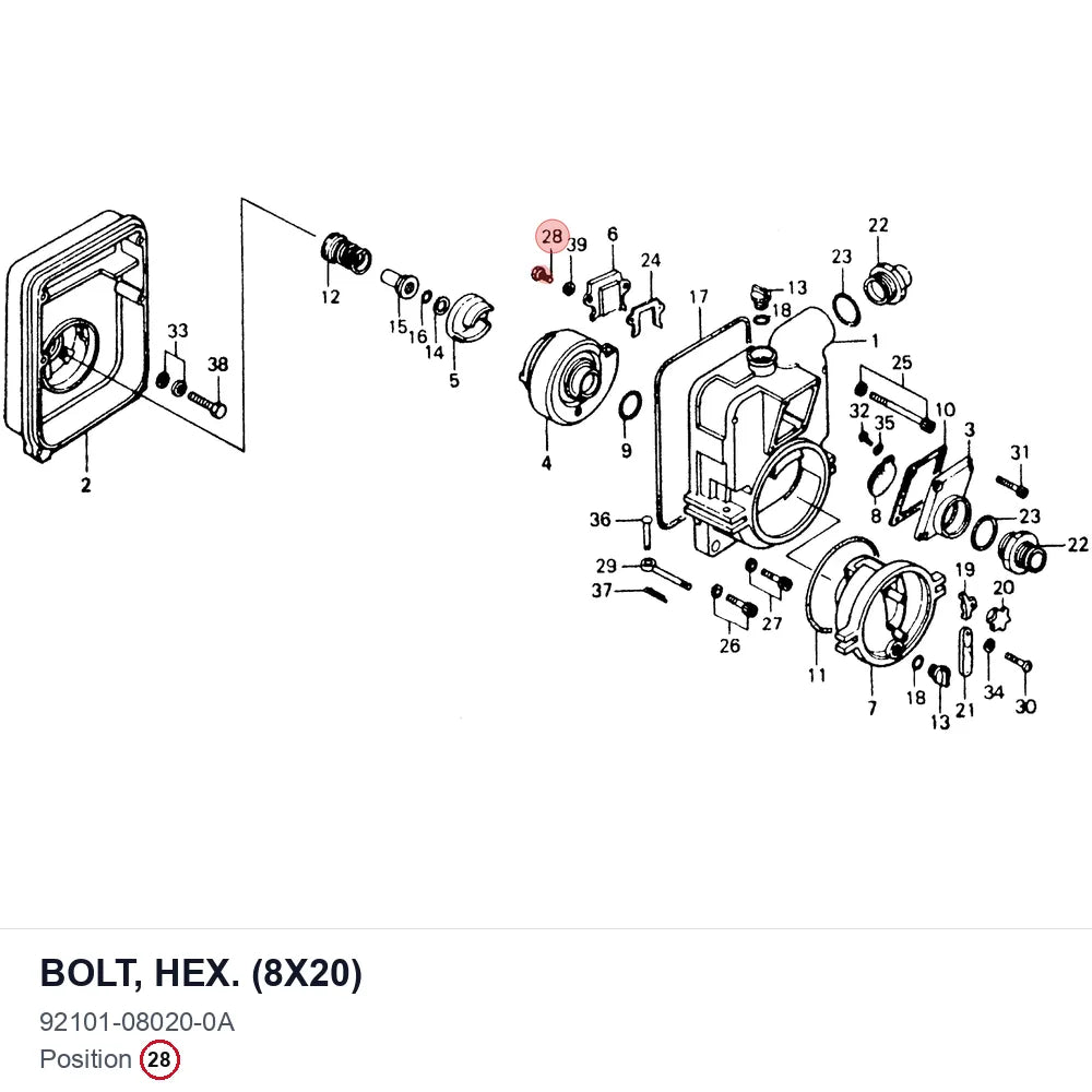 BOLT, HEX. (8X20)