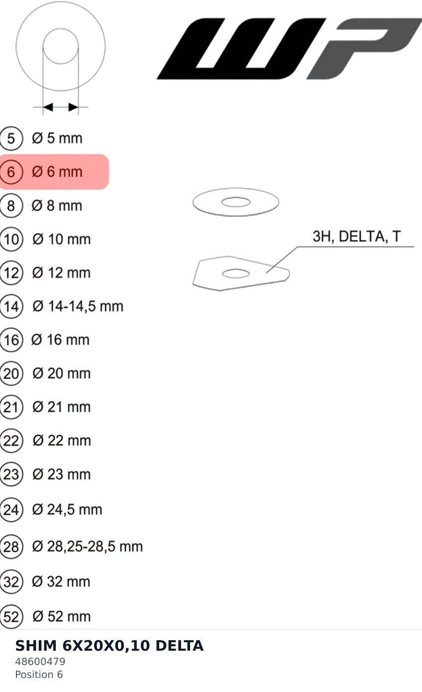 Diagram preview: SHIM 6X20X0,10 DELTA (48600479)