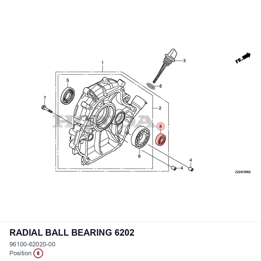Radial ball bearing 6202