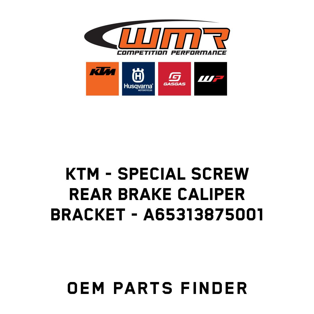 Special screw rear brake caliper bracket