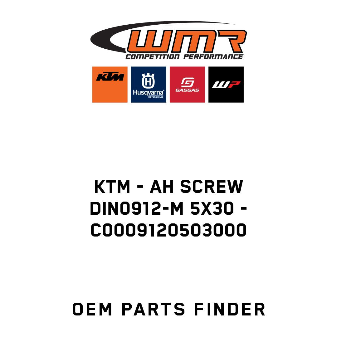 AH SCREW DIN0912-M 5X30