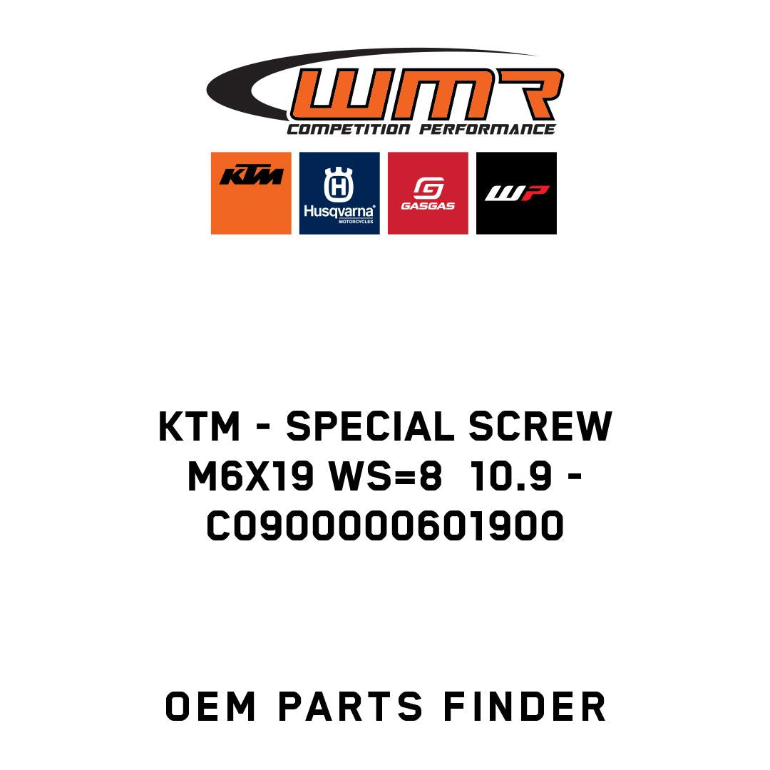 SPECIAL SCREW M6X19 WS=8  10.9