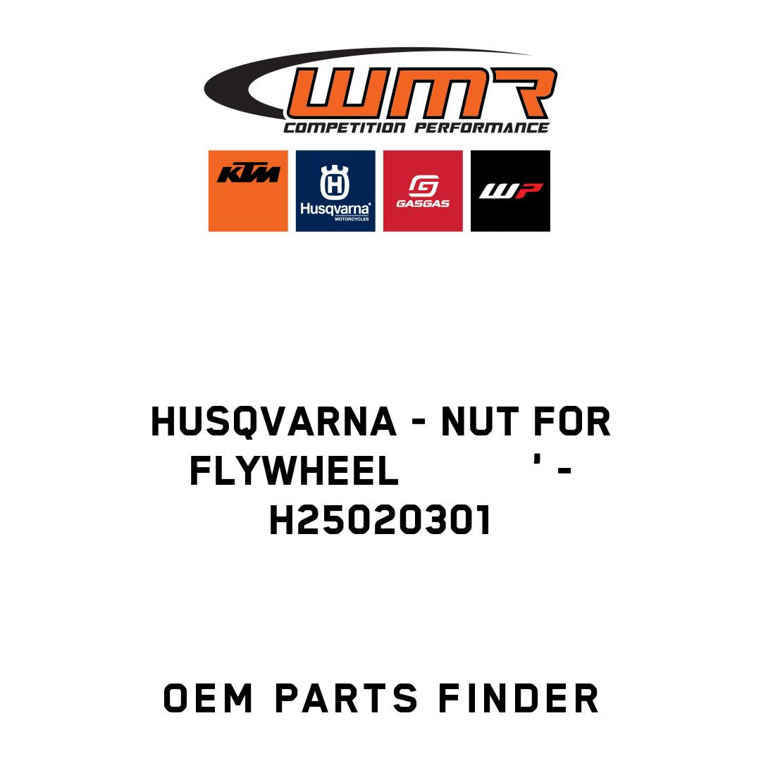 NUT FOR FLYWHEEL           '