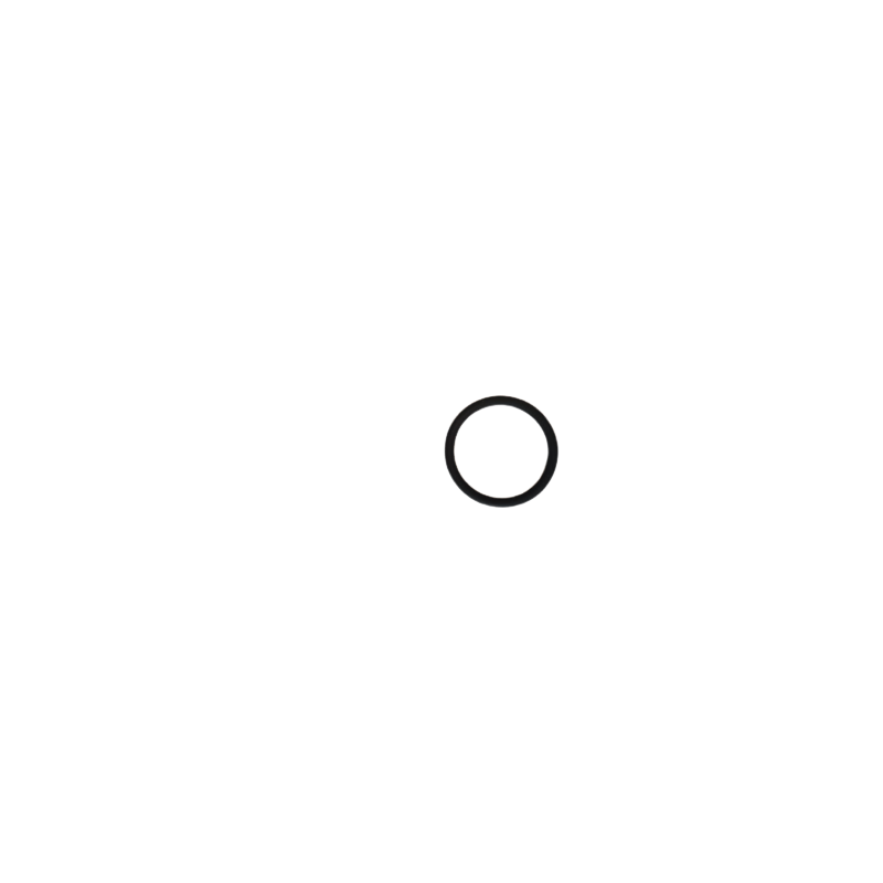 O-ring 23x2,5 Viton 75SH