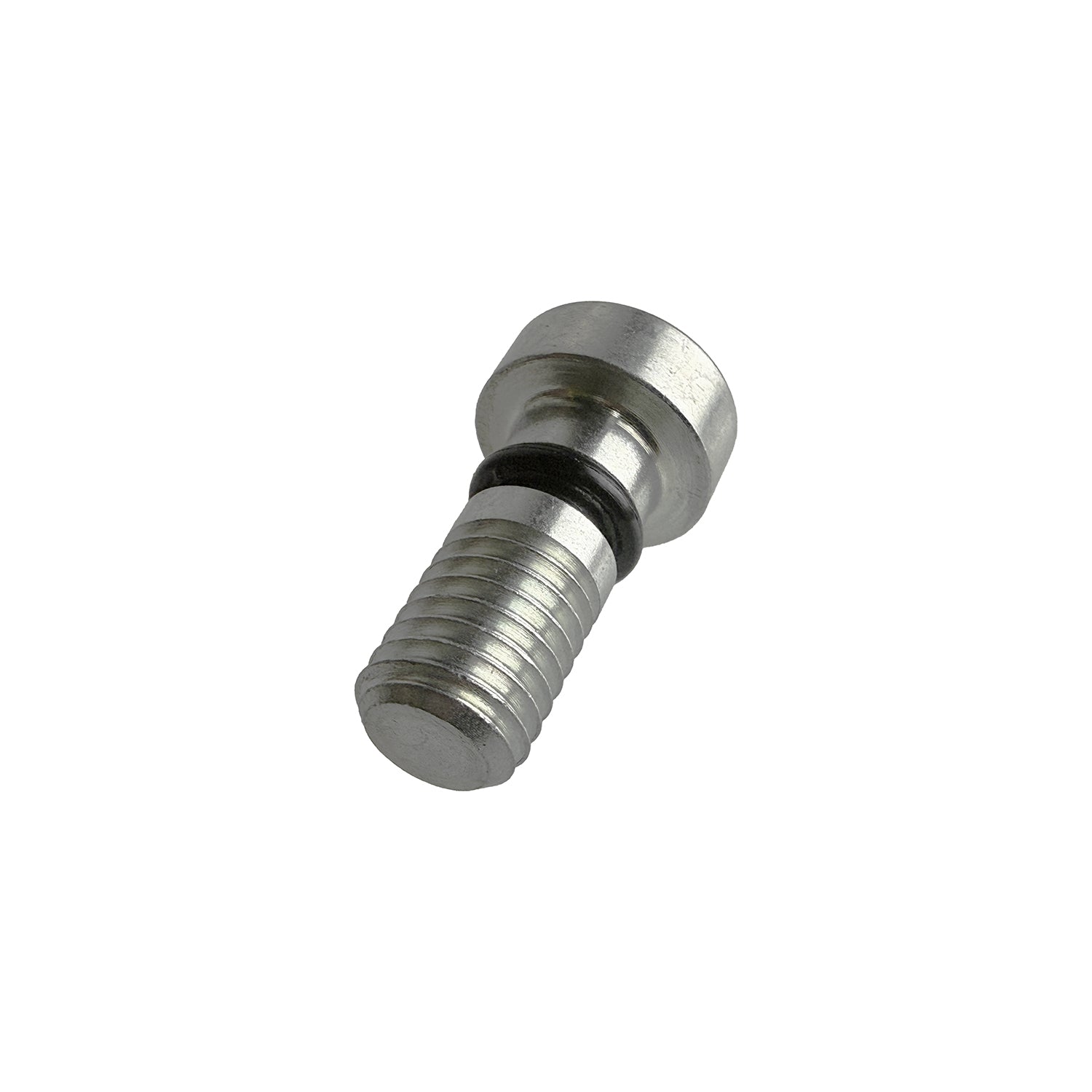 Front Fork Hex Socket Screw M10x23 w/O-Ring for KTM 85 SX - S218700000S0000