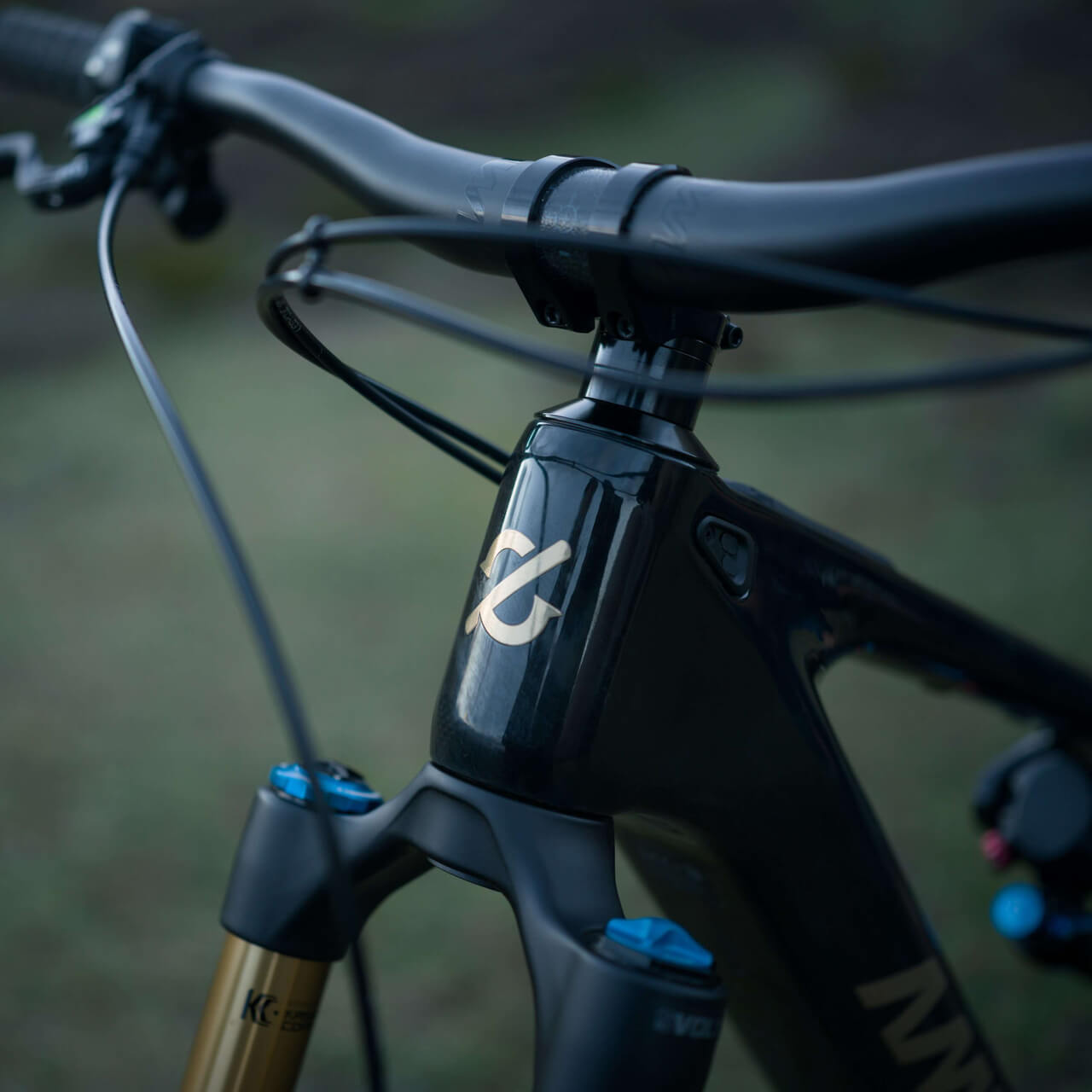 Amflow PL Carbon (800Wh) Electric Mountain Bike - product photo