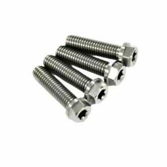 HH COLLAR SCREW M8X30     TX40