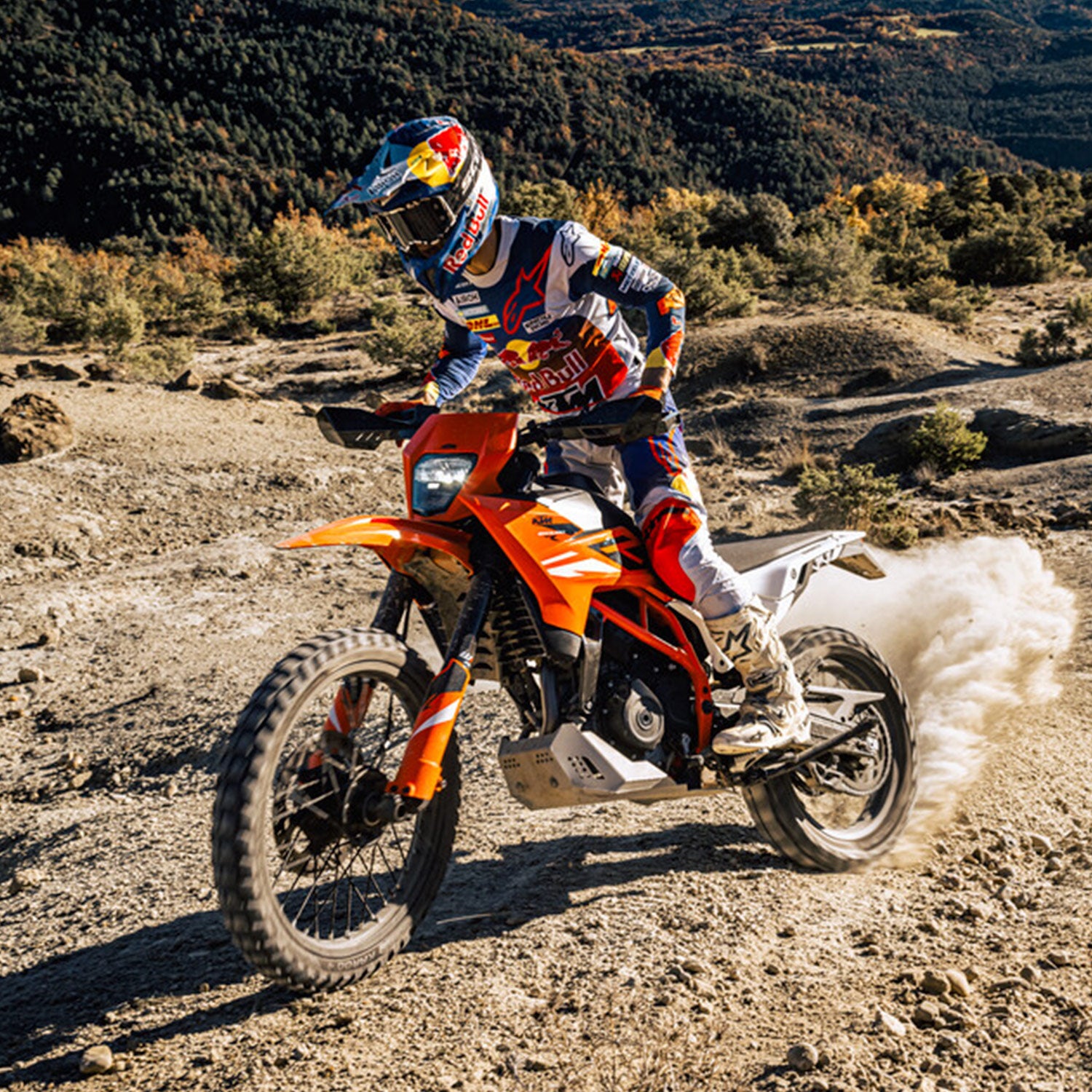 2025 KTM 390 ENDURO R