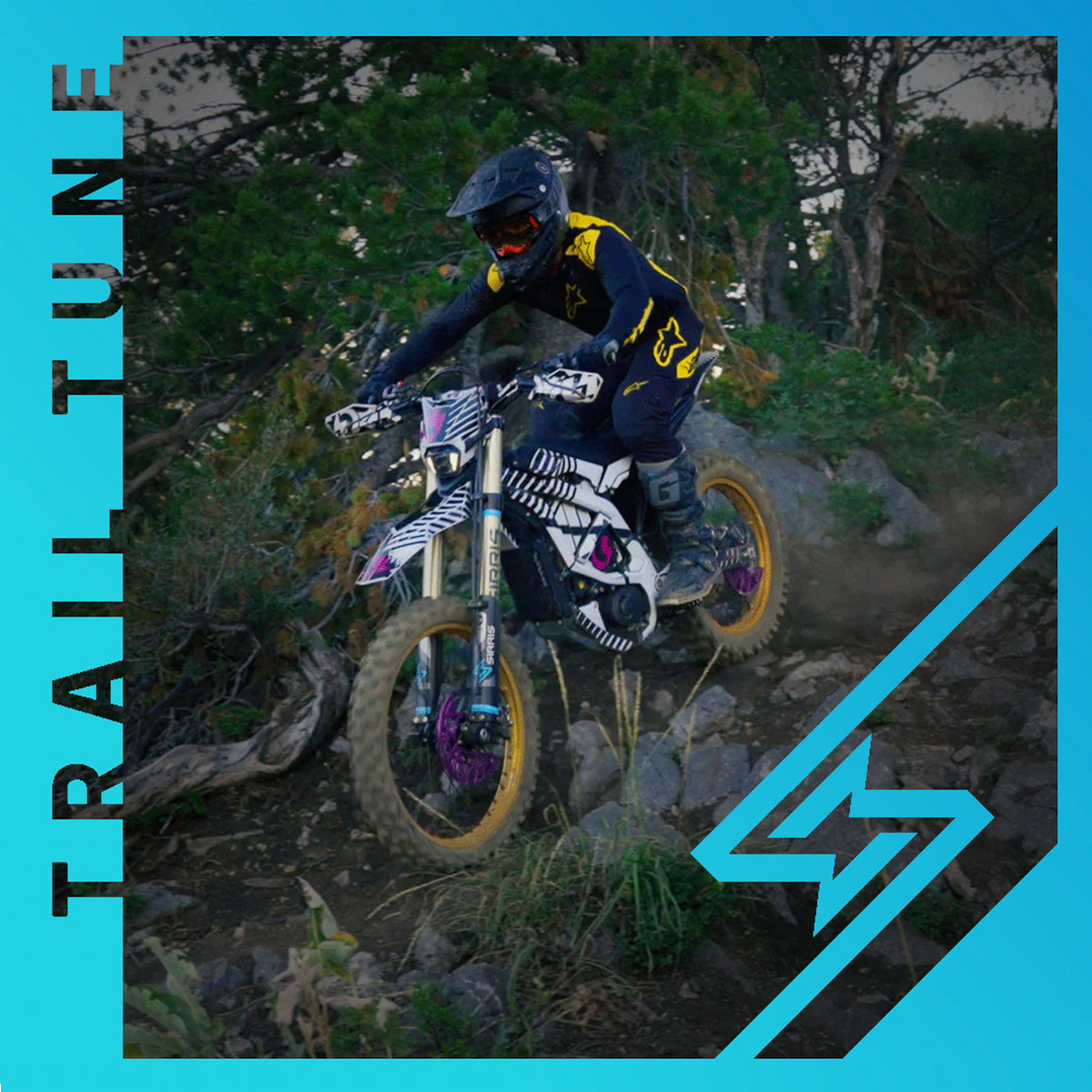 Sirris F43 Suspension Forks for Surron Ultra Bee - Trail Tune - LSC - 246 mm Travel